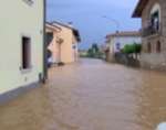 Esonda il torrente Rosmarino|Decine di case invase dall’acqua