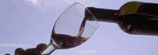 15 case vinicole siciliane al| “Grandi degustazioni vini 2009”