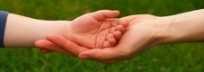 Attività e laboratori professionali|Questo è “Crescere Educando”