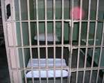 2011, odissea nel carcere