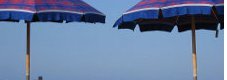 Una giornata di studi|per sviluppare il turismo