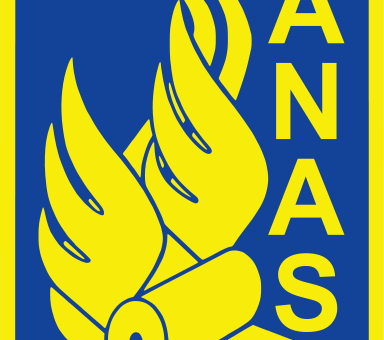 Anas, pubblicati due bandi