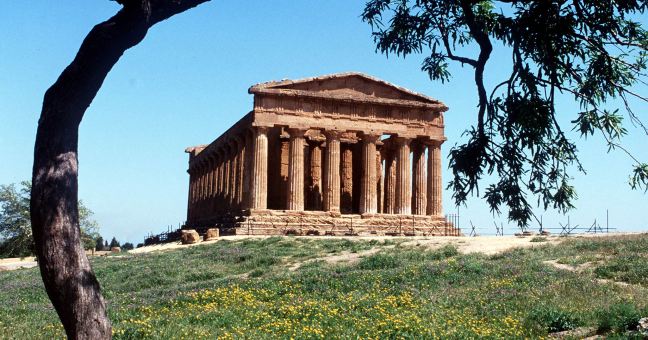 Piogge torrenziali, |crolla il tetto del consorzio agrario