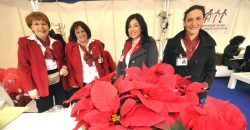 L’Ail in piazza| con “Stelle di Natale”