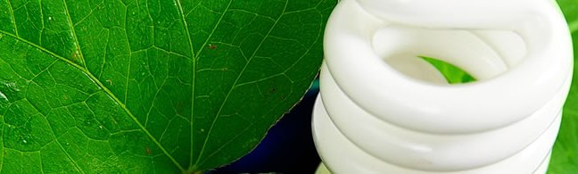 Lampadine esauste |Raccolte 2.900 chili