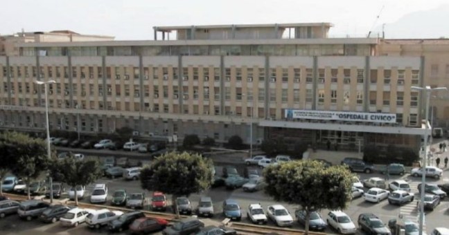 Bimba ferita da un pitbull | Denunciati i genitori