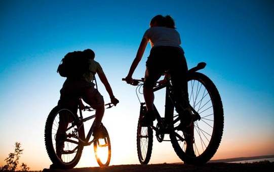 Rubato materiale per bici | Un bottino da 150mila euro