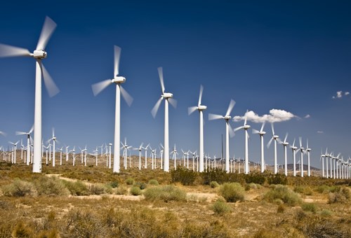 Parchi eolici a Gela |Protestano gli ambientalisti