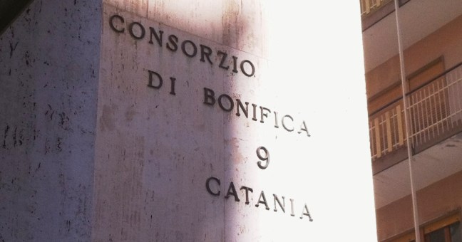 “Alga rossa” e crisi economica |Il Consorzio corre ai ripari