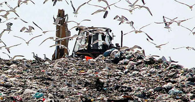 “Le discariche in Sicilia? |Sono nelle aree protette”