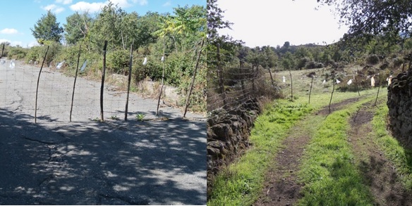 Occupazione di beni demaniali |Strade restituite ai cittadini