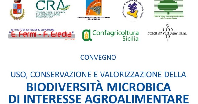 Conservazione e valorizzazione| della biodiversita’ microbica