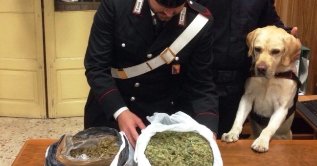 San Cristoforo, ai domiciliari |con 2 kg di marijuana. Arrestato