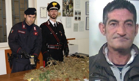Coltiva marjiuana in giardino |In arresto 43enne