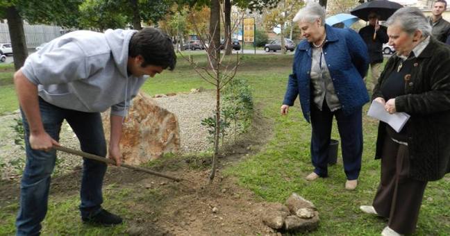 Un albero di mandorlo| nel ricordo di Caponnetto