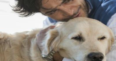 C’è un cane più bello | in tutta la Sicilia?