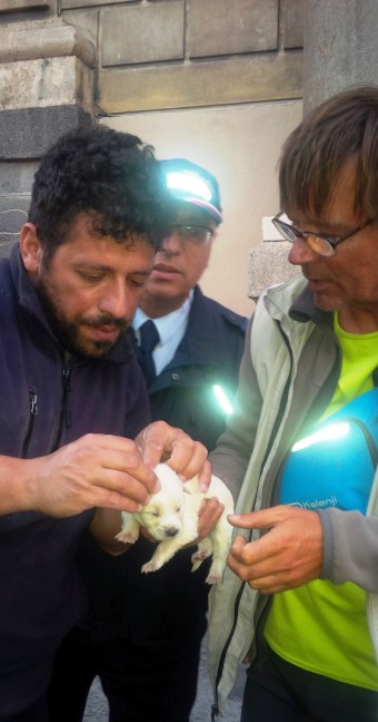 Salva sette cuccioli abbandonati |Il gesto d’amore di Jean-Philippe