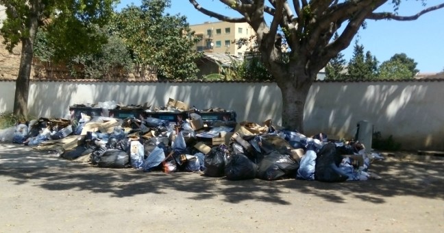 “Canile con troppi problemi| tra rifiuti e poca pulizia”