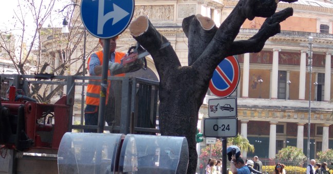 Anello ferroviario al Politeama| Via al taglio degli alberi