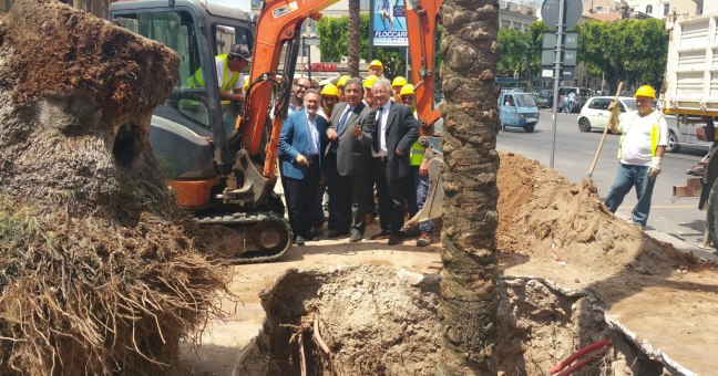 Massimo, 5 nuove palme| Salvi gli alberi del Politeama