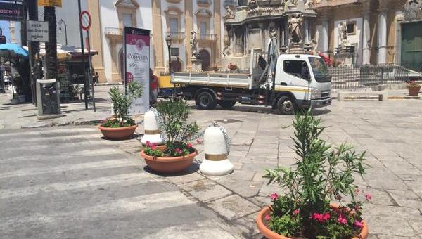 San Domenico, arrivano| nuove piante e dissuasori