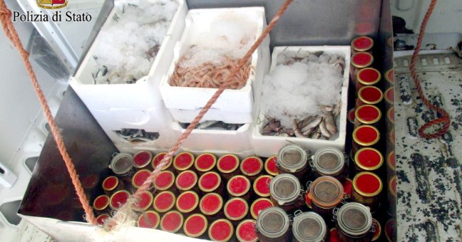 Blitz in via Messina Marine | Sequestrati 90 chili di pesce