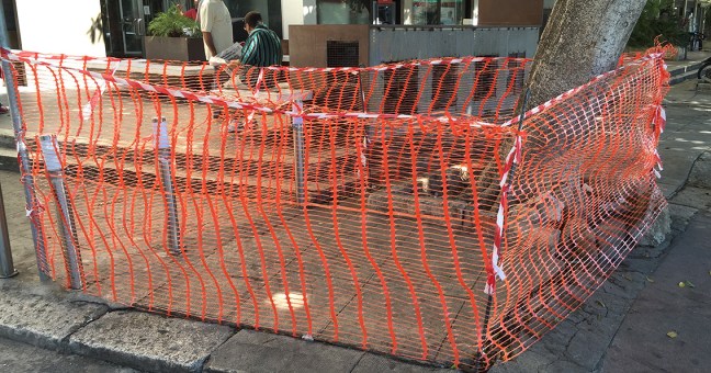 “Via Autonomia Siciliana| Transenne solo dopo l’incidente”