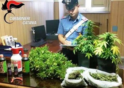 San Cristoforo, incensurato | nascondeva 1 chilo di droga