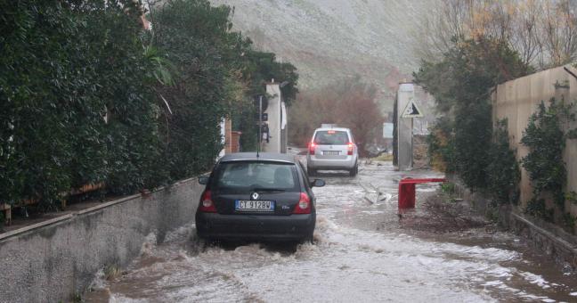 Forte pioggia nella notte a Palermo | Strade allagate e alberi divelti