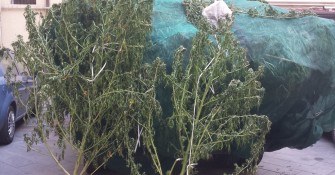 Asse Sicilia-Albania per droga | Scattano 15 misure cautelari