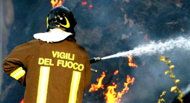 Intimidazione alla coop Livatino | Incendiate 22 arnie di api
