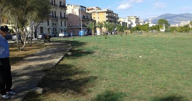 Costa Sud, pulizia e aree verdi| Gli interventi del Comune
