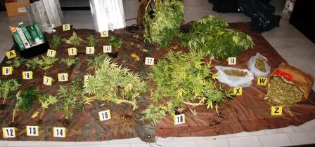 Un chilo di “erba” nel doppiofondo |Un arresto dei carabinieri