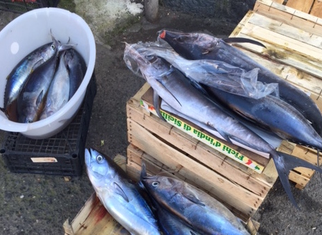 Acireale, sequestrati 50 chili | di pescato in Corso Savoia