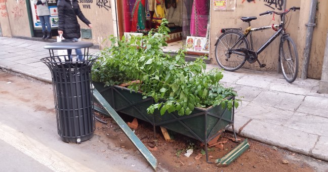 Via Maqueda, vandali in azione| Danneggiate alcune fioriere