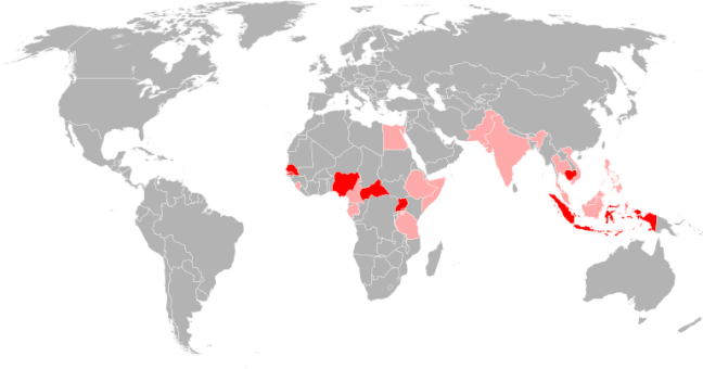 Virus Zika in Italia | Registrati quattro casi