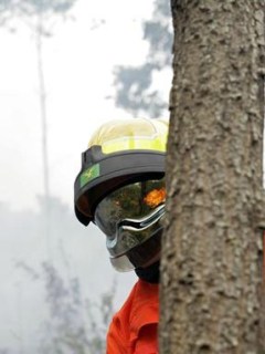Tagli alle graduatorie |Forestali sul piede di guerra