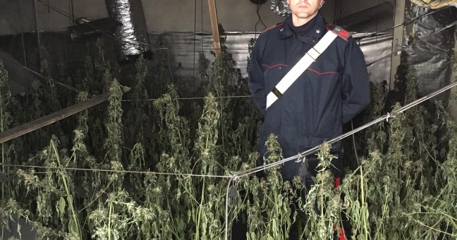 Incendio in casa a Partinico | A fuoco una serra di marijuana