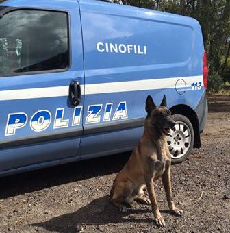 Librino, droga dentro garage |Scovata dal cane poliziotto Alj