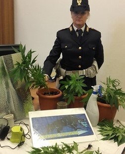 Coltivazione illegale di “cannabis” |Denunciato un diciasettenne