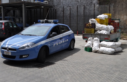 Rubano 620 kg di limoni |Denunciati in stato di libertà