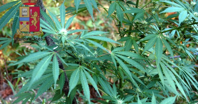 In auto con un chilo di marijuana | Arrestato un 30enne palermitano