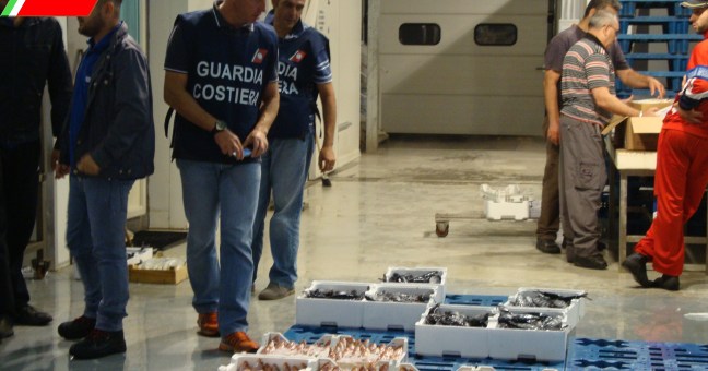 Controlli sulla filiera del pesce |Sequestri della Guardia Costiera