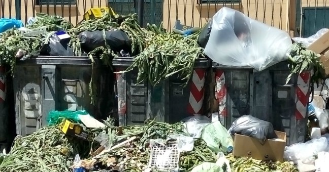 “Via Montepellegrino un discarica| Il sindaco intervenga”