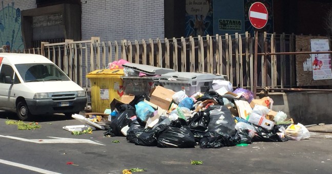 “Rifiuti, Catania invasa | da topi e scarafaggi”