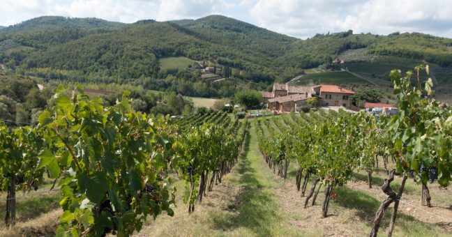 Agricoltura con responsabilità| Best pratices e denunce anonime
