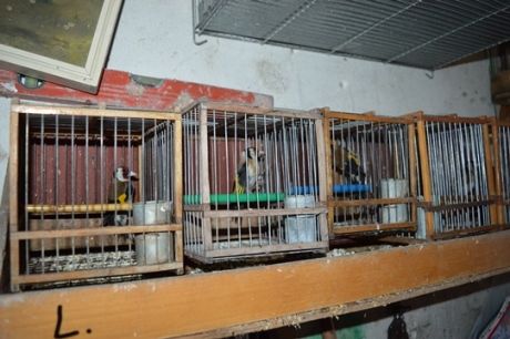 Reati ambientali e furto d’energia |Controlli della polizia a Nesima