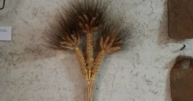 “I giorni del Grano”| a Campofelice di Fitalia