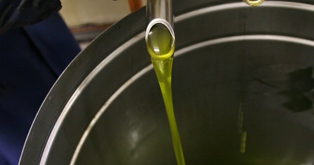 Olio, produzione a picco | In Sicilia calo del 42%