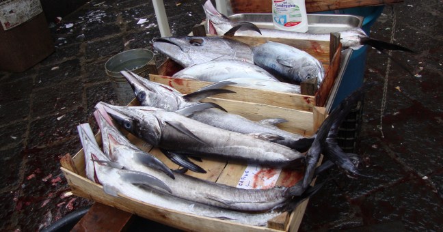 Guardia costiera, blitz in Pescheria |Sequestrati 5 chili di pesce spada